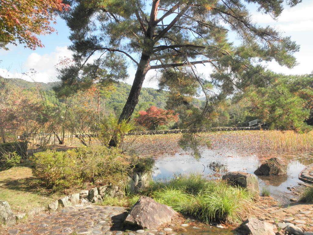Maple Inagawa Hotel Kawabe  Buitenkant foto