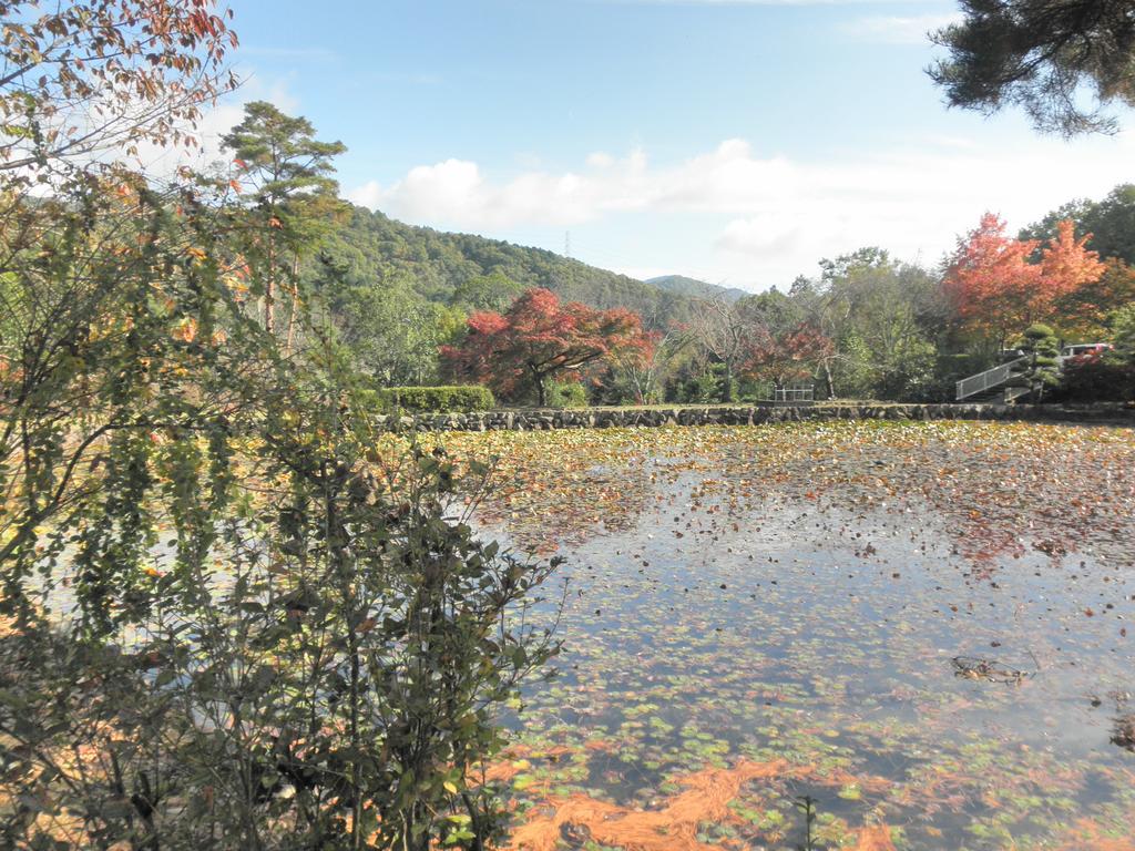 Maple Inagawa Hotel Kawabe  Buitenkant foto