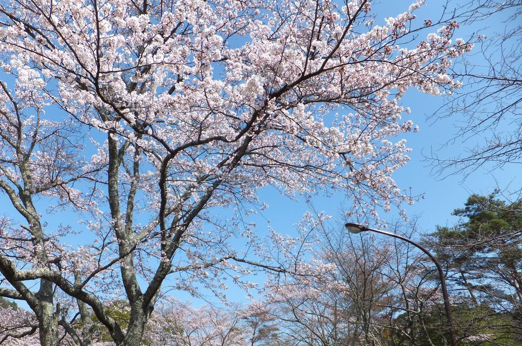 Maple Inagawa Hotel Kawabe  Buitenkant foto